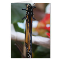Monarch aufgeworfen grußkarte