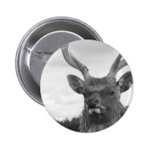 Monarch der Schlucht Button
