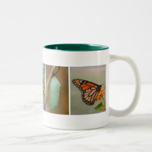 Monarchfalter-Lebenszyklus-Kaffeetasse