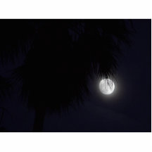 Mond am Ozean-Strand Fotofigur