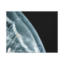 Mond-Aufstieg eingewickelte Leinwand Leinwanddruck