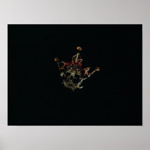 Mondfähre Apollo 14 Poster