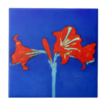 Mondrian Amaryllis-Fliese