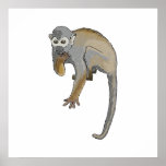 Monkey, das isst posterdrucke