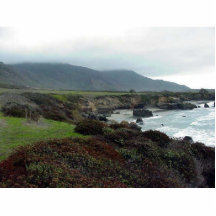 Monterey bewegt Strand-Küsten-Ozean-Wasser wellena Foto Skulptur