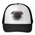 Mops, der heraus sprengt tuckercaps