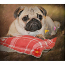 Mops-Himmel Photofiguren