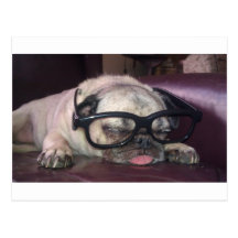 Mops in den Gläsern Postkarte