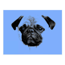 mops puppy babyblue postkarte