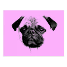 mops puppy pink postkarte