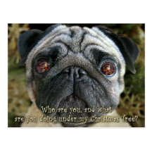 Mops-Weihnachtspostkarte - untersuchen Sie ihre Au