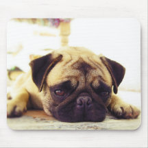 Mops-Welpe, der aus den Grund schaut traurig legt Mousepads
