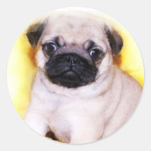 Mops-Welpenaufkleber