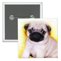Mops-Welpenknopf Buttons