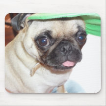 Mopswelpen-Mausunterlage Mousepads