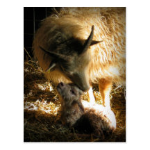Motherly Liebe Postkarte