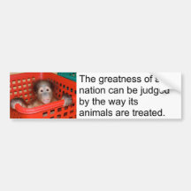 Motivierend Gandhi Tierzitat Autosticker