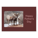 Mountain Sheep Father's Day Card