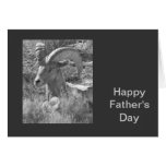 Mountain Sheep Father's Day Card
