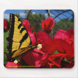Mousepad - Butterlfly, die auf einer Blume sind zu mousepads