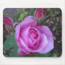 Mousepad - eine rosa Rose