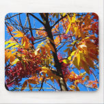 Mousepad - Herbstlaub mousepads