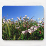 Mousepad - Kalifornien-Wildblumen mousepads