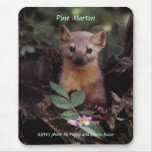 Mousepad/Kiefern-Marder