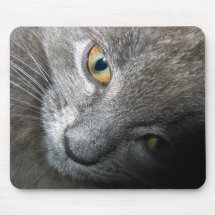 Mousepad - Kitten-02