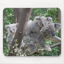 Mousepad Koala und zwei Baby-Foto Australien