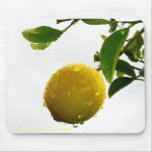 Mousepad - nasse Zitrone im Regen mousepads