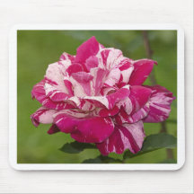 Mousepad Rose