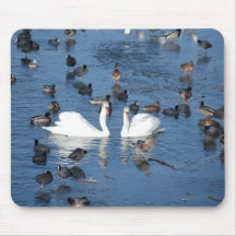 Mousepad Schwäne im See