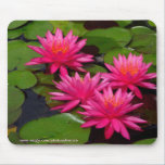 Mousepad - Wasserlilien am San Diego Balboa-Park mousepads