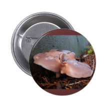 Mouthy Pilz ~ Knopf Anstecknadelbuttons