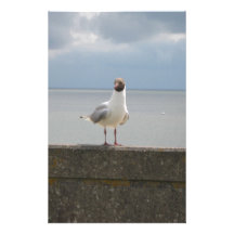 Möwe auf der Mauer Nordsee Personalisiertes Büropapier