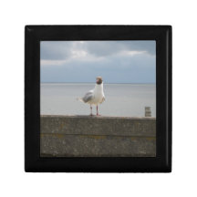 Möwe auf der Mauer Nordsee Erinnerungskiste