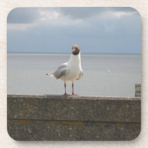 Möwe auf der Mauer Nordsee Getränk Untersetzer