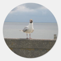 Möwe auf der Mauer Nordsee Runde Aufkleber