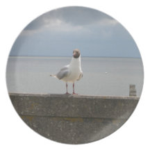 Möwe auf der Mauer Nordsee Teller
