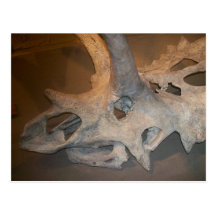 Mr.dino #2 postkarte