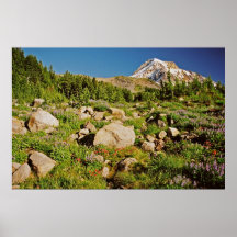 Mt. Haube von Eden Park-Bereich Plakat