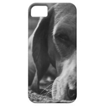 Müdes Hündchen iPhone 5 Schutzhülle