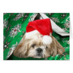 Müdes Weihnachten Shih Tzu Karten