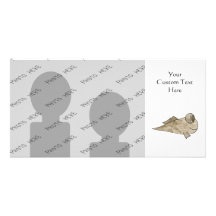Mudskipper Fische Bild Karte