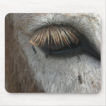 Muismat met ezel