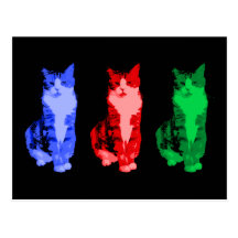 Mürrische Katzen-Pop-Postkarte