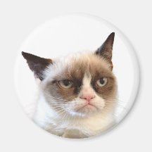 Mürrische Katzen-runder Magnet Kühlschrankmagnet