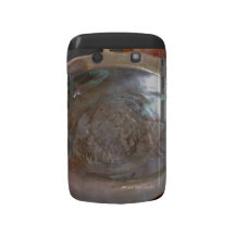 Muschel abelone-case black berry blackberry hülle