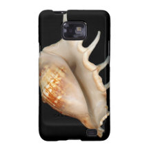 Muschel - Konchologie - Tritonshorn Samsung Galaxy SII Hüllen